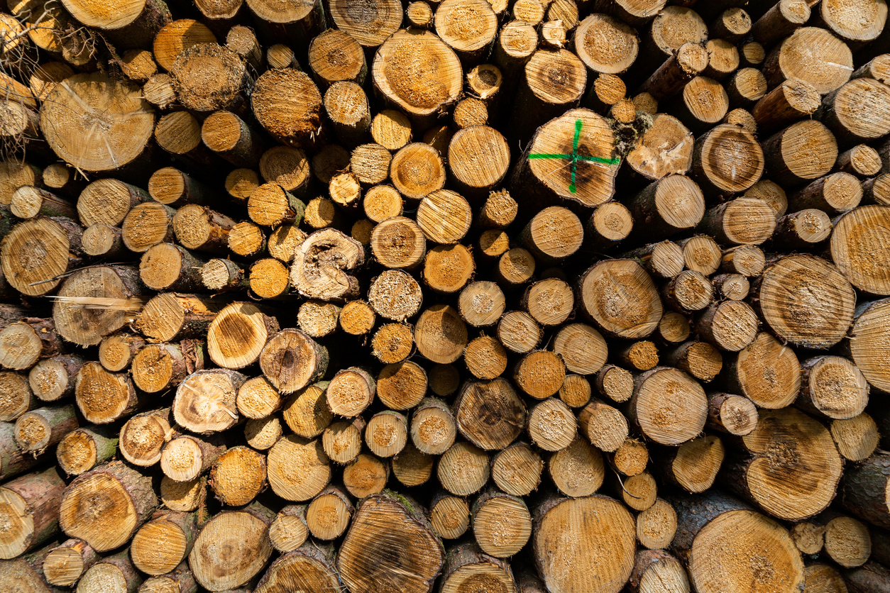 Estufas de leña y sostenibilidad - Madera sostenible es un periódico  digital para la industria española de la madera y el mueble